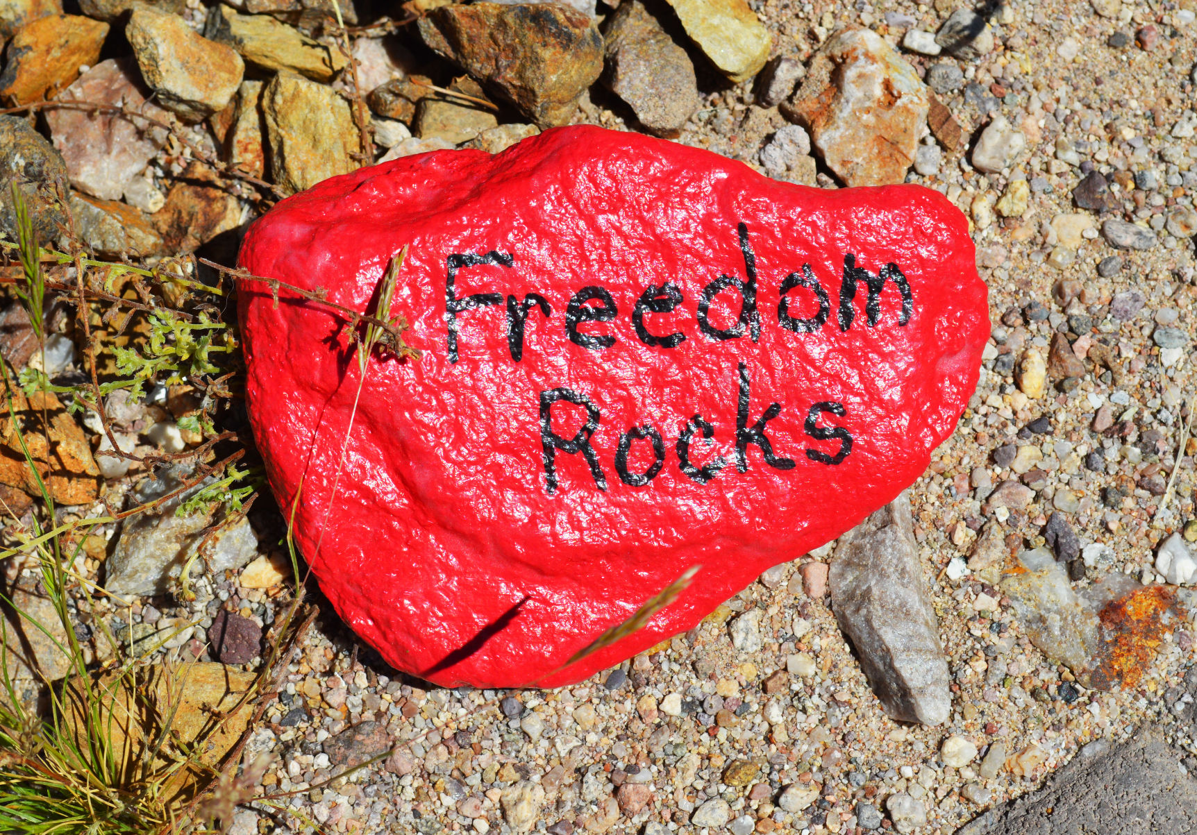 Kindness rocks